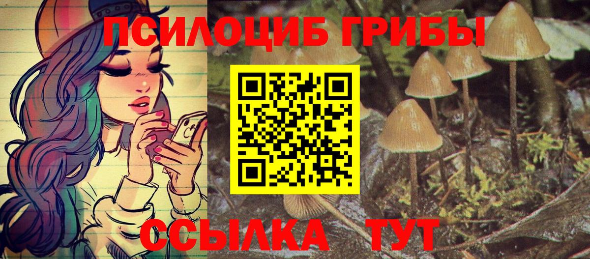 Галлюциногенные грибы Magic Shrooms  Вход с VPN  Тулун 