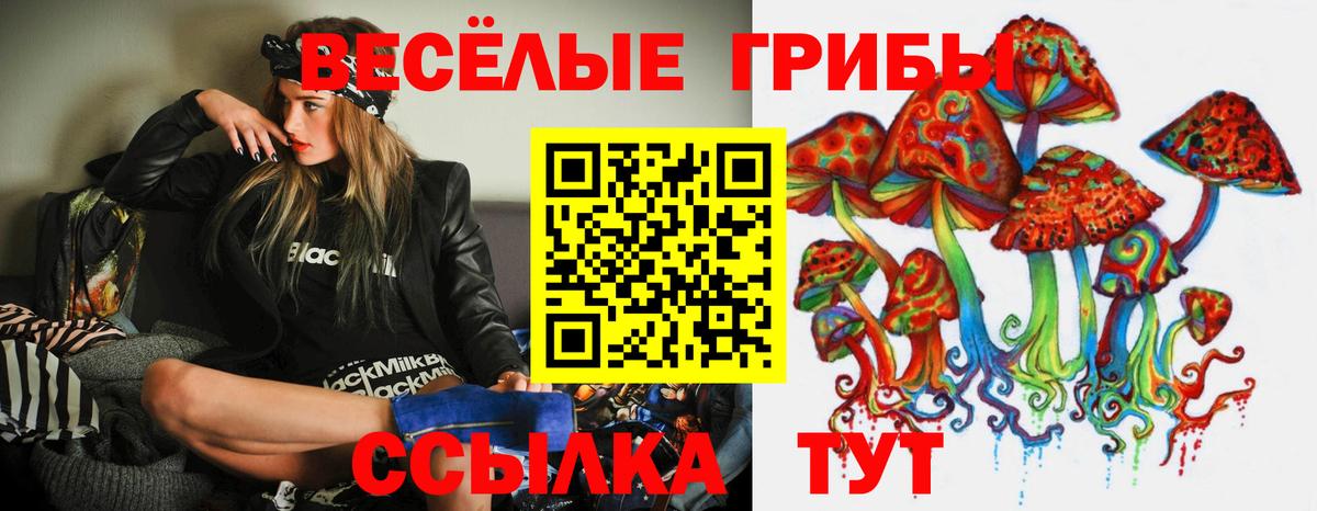 Псилоцибиновые грибы Psilocybine cubensis Тулун